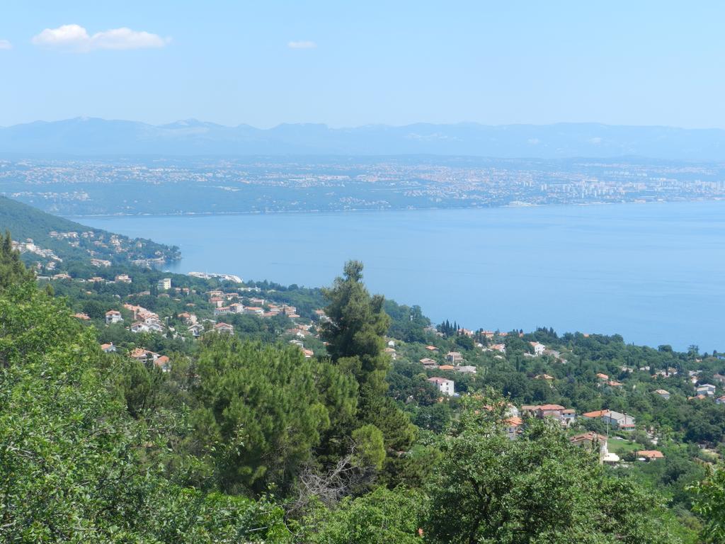 Belvedere